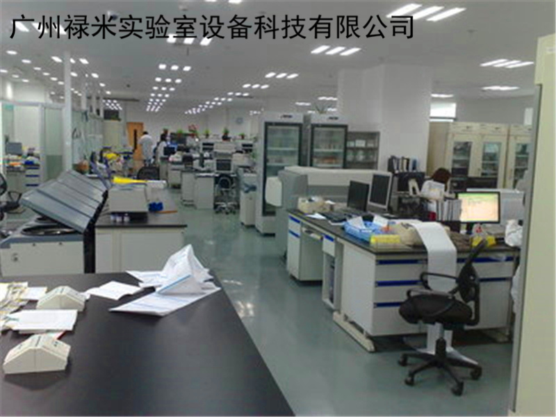 祿米實驗臺常規臺面分析表