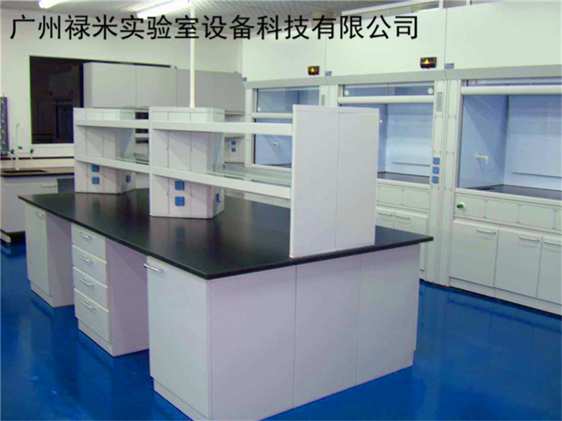 祿米鋼木實驗臺是實驗室家具行業增長動力