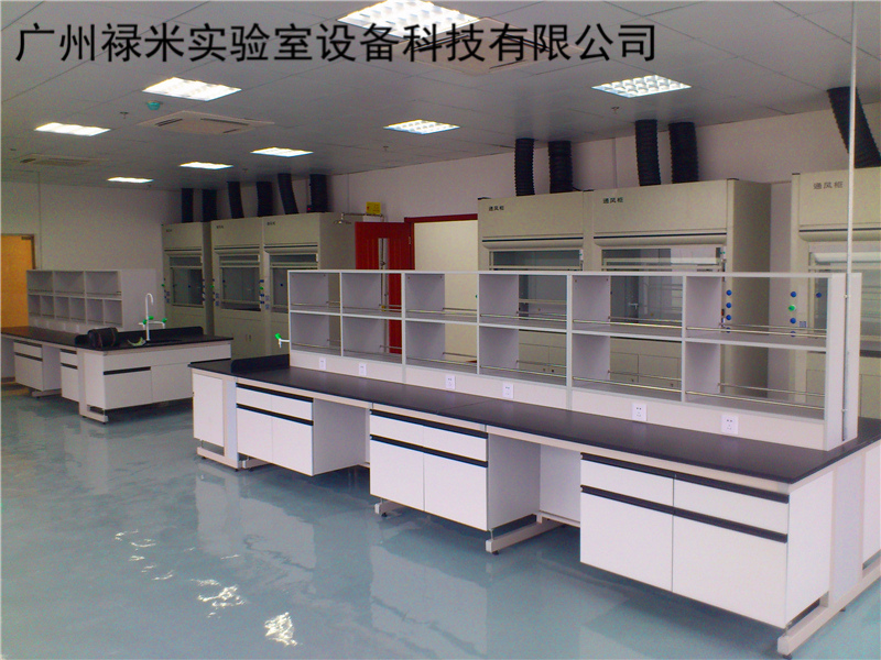 實(shí)驗(yàn)室臺(tái)柜 實(shí)驗(yàn)室臺(tái)柜