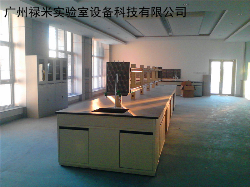 祿米實驗室實驗臺的發展和創新